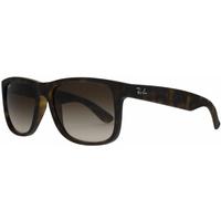 Ray-Ban RB4165 710(13) Havana