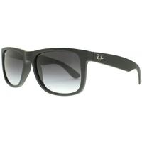 Ray-Ban RB4165 601/8G Black