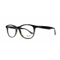 Ray-Ban RB5356 2012 Shiny Havana