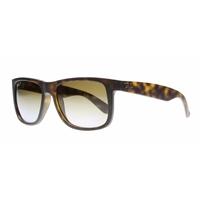 Ray-Ban RB4165 865/T5 Tortoise