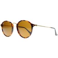 ray ban rb2447 1160 tortoise fleck