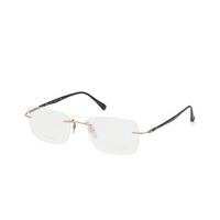 Ray-Ban RX 8725 1131