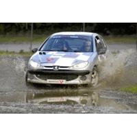 Rally Driving Experience at Langley Park