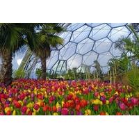 Rainforest Biome Private Tour for Two at The Eden Project