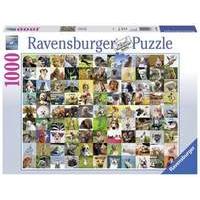 Ravensburger 99 Funny Animals 1000pc Jigsaw Puzzle