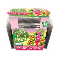 Rainbow Rita Eco Plant Pal