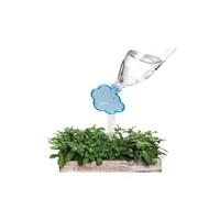 Rainmaker | Plant Watering Cloud