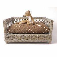 RAISED RATTAN DOG BED with Dotty Chocolate Mattress - Large