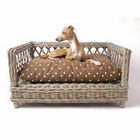 raised rattan dog bed with dotty chocolate mattress large