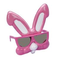 Rabbit Sunglasses