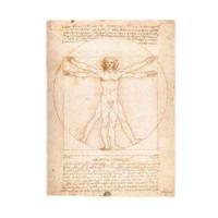 Ravensburger Leonardo da Vinci - The Vitruvian man