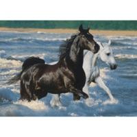 Ravensburger Horses on the Beach