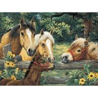 ravensburger horse whispers