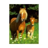 Ravensburger Happy Horses