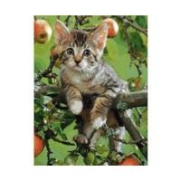 Ravensburger Charming little kitten