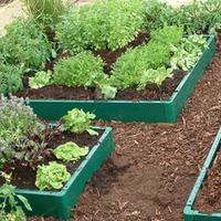 Raised Bed Kit - 4 x 1m raised bed kit