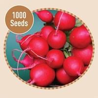 radish cherry belle 1000 seeds