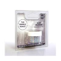 rainbow dust non toxic silver hologram glitter