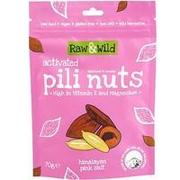 Raw&Wild Activated Pili Nuts - Pink Himalayan Salt (70g)