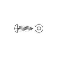 Raised head self-tapping screw 2.9 mm 19 mm Torx DIN 7981 Steel zinc galvanized 2000 pc(s) TOOLCRAFT 145127