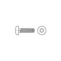 Raised head self-tapping screw 6.3 mm 19 mm Torx ISO 14585 Steel zinc galvanized 500 pc(s) TOOLCRAFT 149575