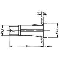 RAFI 1.69.507.105/1002 Signal Light With Lamp 1.2 W Colourless