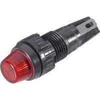 RAFI 1.66.001.011/1301 Signal Light With Lamp Socket 1.2 W Base=W2 x 4.6d Red (transparent)