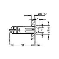 rafi 1695088100000 green transparent