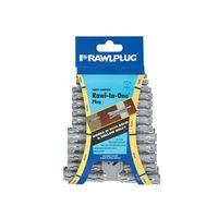 Rawl in One Plugs (Clip of 48)