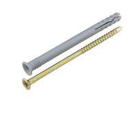 Rawlplug Hammer In Fixing (Dia)8mm (L)100mm Pack of 10