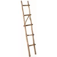 Raw Eucalyptus Wooden Ladder