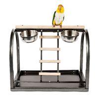 Rainforest Cages Parrot Table Top Stand with Perch and Ladder