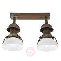 ravenna 2 bulb ceiling light