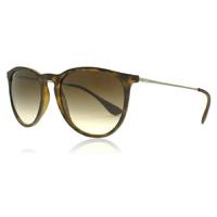 ray ban erika rb4171 86513