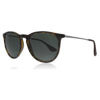 Ray-Ban Erika 4171