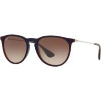 Ray-Ban Erika RB4171 631513 (brown-silver/brown gradient)