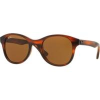 Ray-Ban RB4203 820/73 (brown shiny/brown)