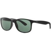 Ray-Ban Andy RB4202 606971 (matt black on shiny black/green)