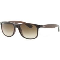 Ray-Ban Andy RB4202 607313 (matte brown/brown gradient)