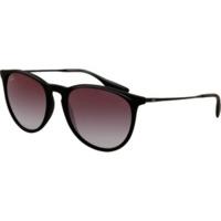 Ray-Ban Erika RB4171 622/8G (black rubber/grey)