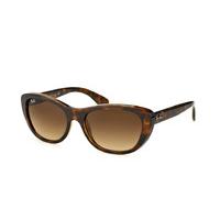 Ray-Ban RB 4227 710/13