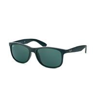 Ray-Ban Andy RB 4202 6069/71