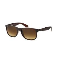 Ray-Ban Andy RB 4202 607313