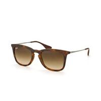 Ray-Ban RB 4221 865/13