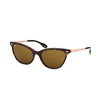 Ray-Ban RB 4360 1233/73