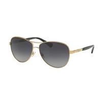 Ralph by Ralph Lauren Sunglasses RA4117 Polarized 3133T3