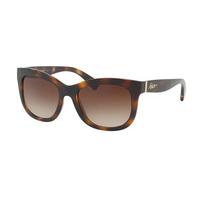 Ralph by Ralph Lauren Sunglasses RA5234 137813