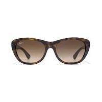 Ray-Ban Classic Cateye Sunglasses