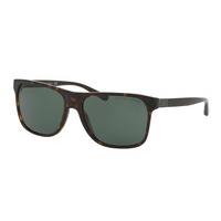 Ralph Lauren Sunglasses RL8152 500371