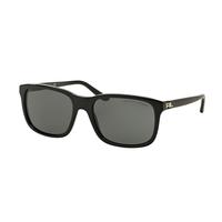 Ralph Lauren Sunglasses RL8142 500187